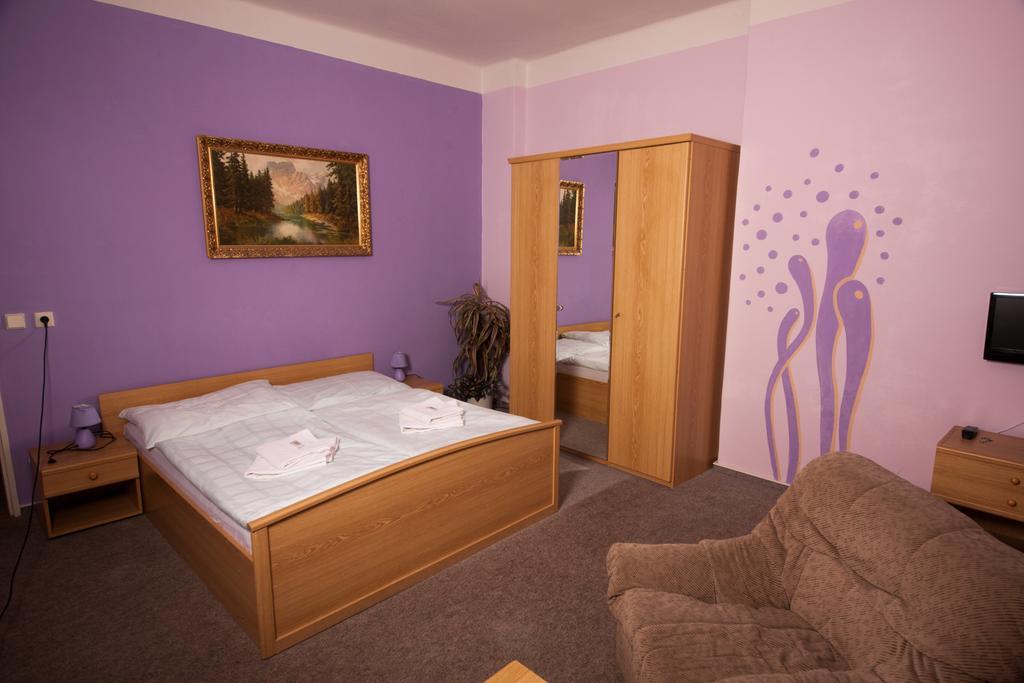 Hotel Haltrava Klenci pod Cerchovem 部屋 写真